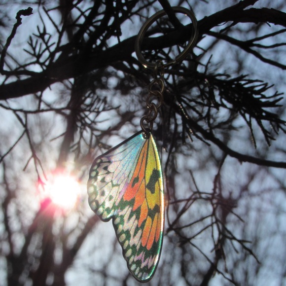 Butterfly Wing Keychain - Picture 3 of 4